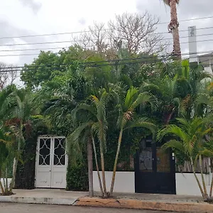Downtown Merida